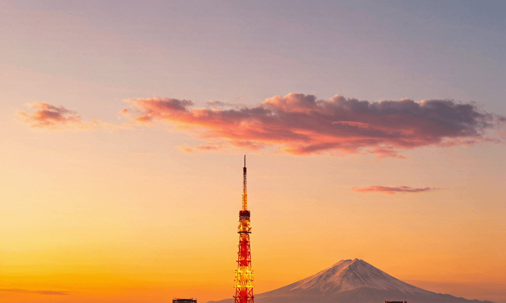 お台場 レインボーファクトリー夜景の写真