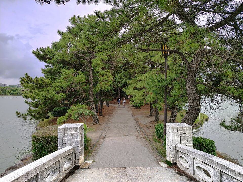 大濠公園のお堀と橋
