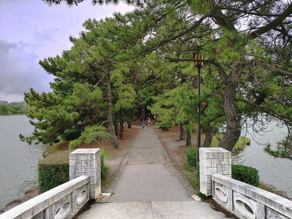 大濠公園のお堀と橋