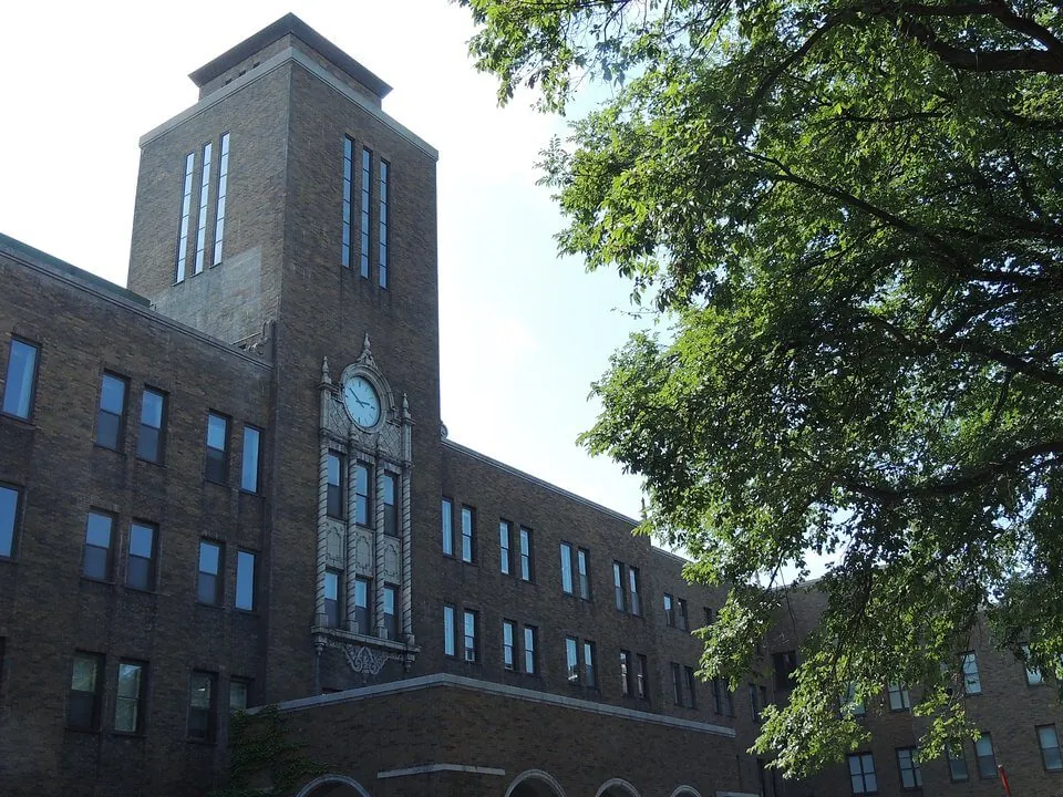 北海道大学のイチョウ並木